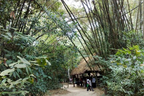 Tour Du Lịch Sài Gòn - Núi Bà Đen - Tòa Thánh Cao Đài - Địa Đạo Củ Chi - Mỹ Tho - Bến Tre 3 Ngày | KH Từ Nha Trang